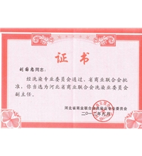 河北省商業(yè)聯合會洗滌業(yè)委員會副主任-洗滌機械